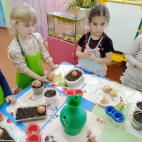 Мы сажаем лук Мы сажаем лук.