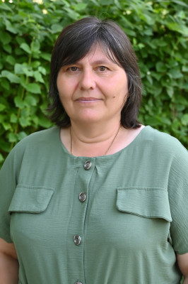 Педагогический работник Емикова Лариса Ивановна Педагогический работник Емикова Лариса Ивановна